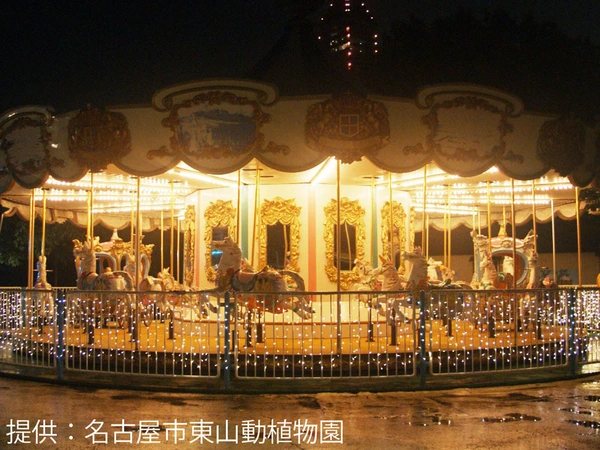 Night Zoo