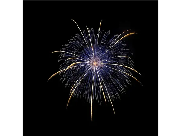 花火甲子園
