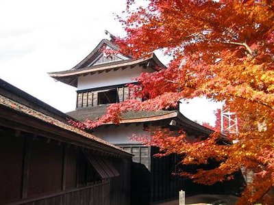 Aichi’s Secret Wonder, Cherry Blossom and Autumn Leaves Together!