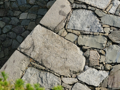 A Walk Around Nagoya’s Samurai Castle