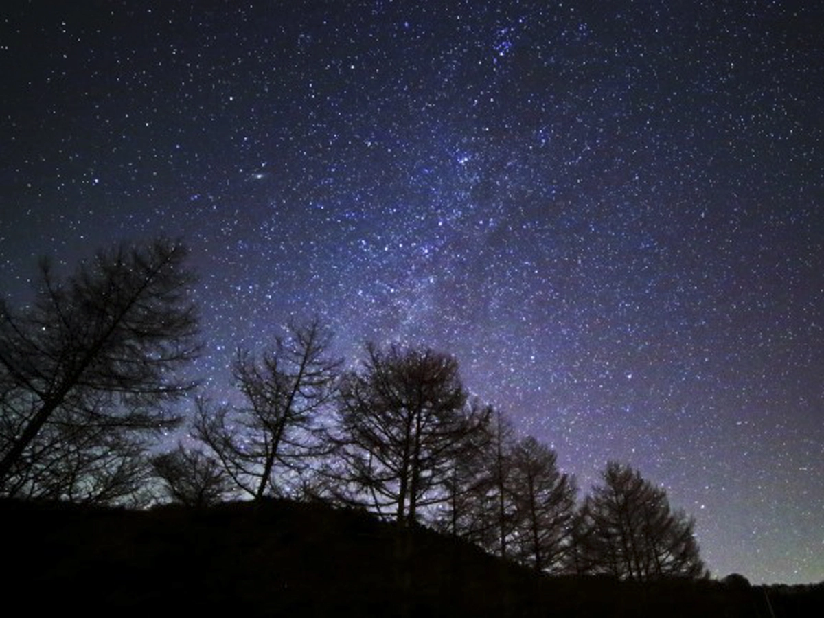 茶臼山高原の星空