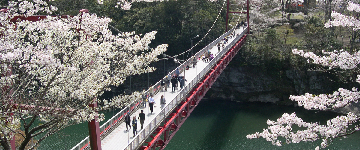 Off the Beaten Path: Okumikawa Area &amp; Shinshiro Special Feature