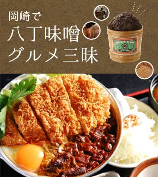岡崎で八丁味噌グルメ三昧 | 特集 | 【公式】愛知県の観光サイトAichi Now