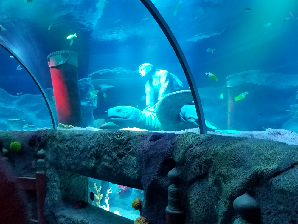 SEA LIFE nagoya