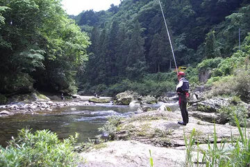鮎