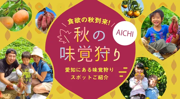みかん、さつまいも、栗など秋の味覚狩り特集