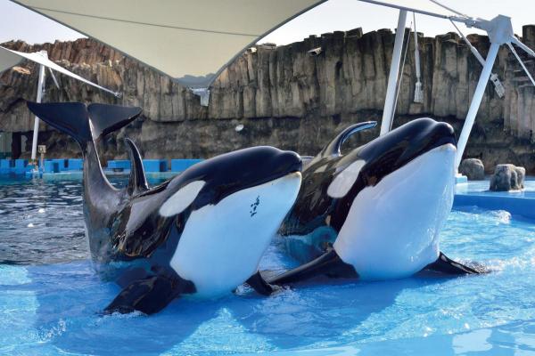 Port of Nagoya Public Aquarium