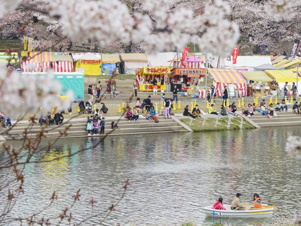 岡崎城下賞花泛舟