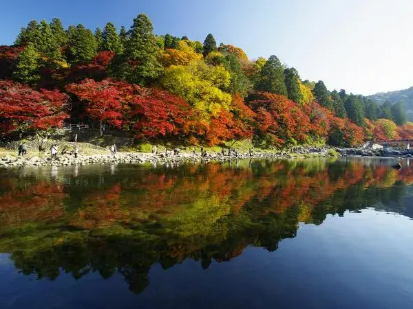 香岚溪红叶节