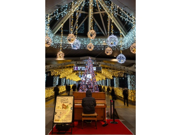 Kariya Street Light Display