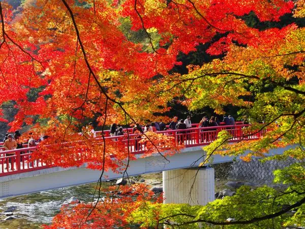 香嵐渓もみじまつり