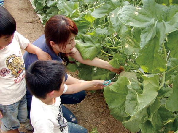 Seaside Farm Irago