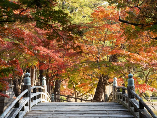 東公園紅葉まつり