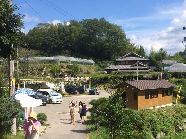 岡崎駒立摘葡萄