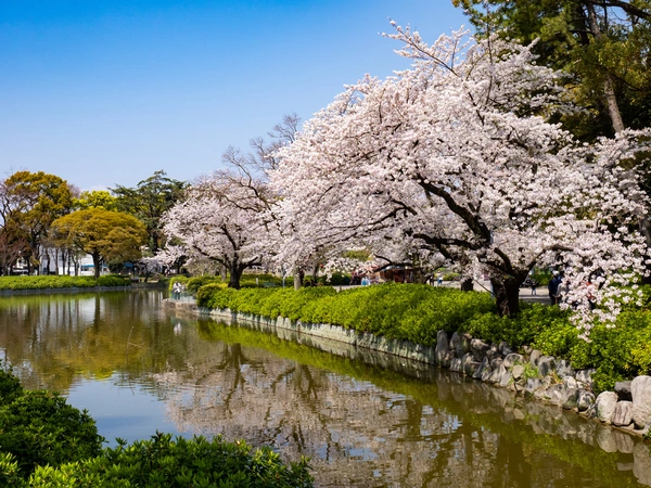 名城公園の花壇