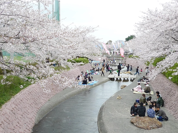 滝頭桜まつり