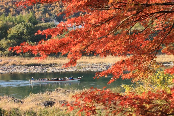 Momotaro Maple Leaves Boat