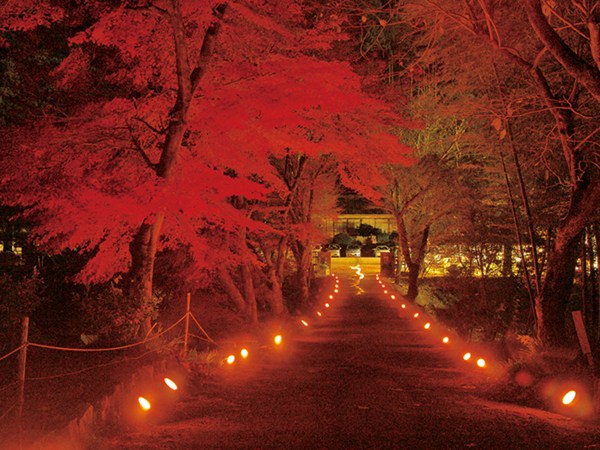 Horaiji Temple