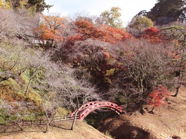 櫻淵公園