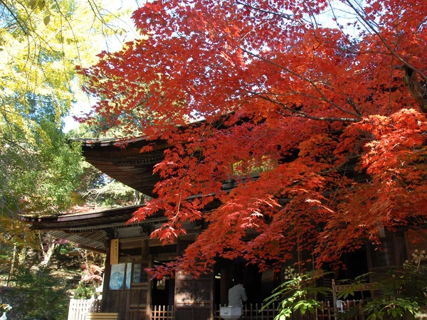 定光寺　定光寺公園