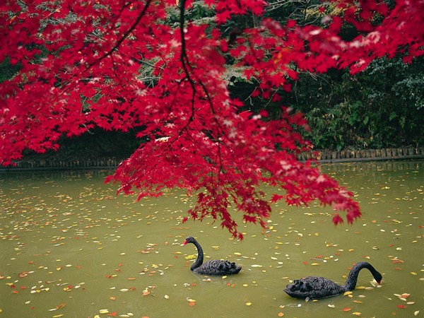 東公園