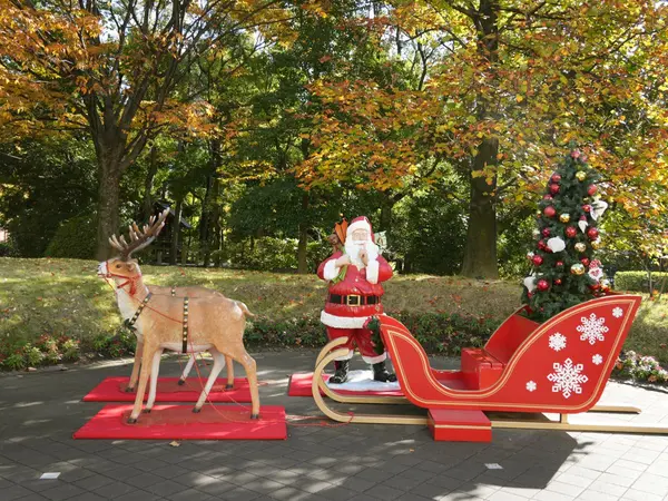 Blooming Christma