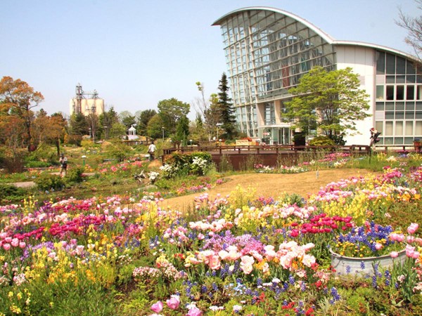 名古屋港野花花園Blue Bonnet