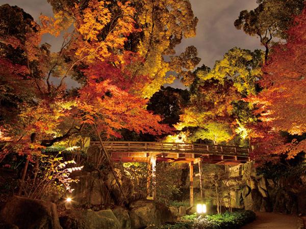 红锦缠绕　德川园　红叶节