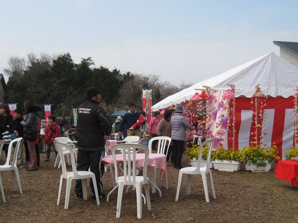 免々田川油菜花和樱花节