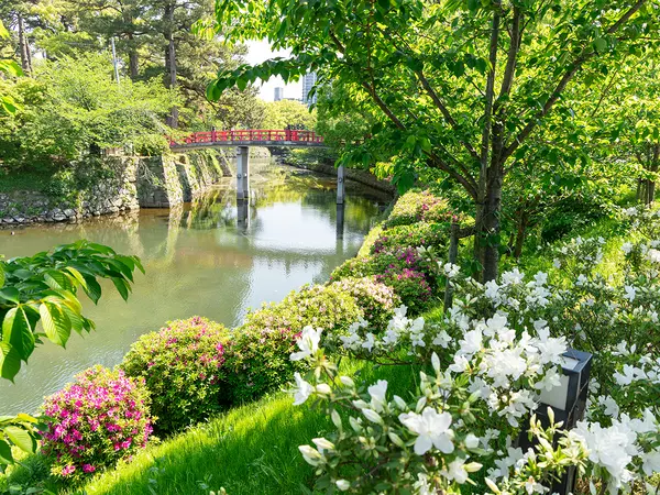 岡崎城公園のつつじ