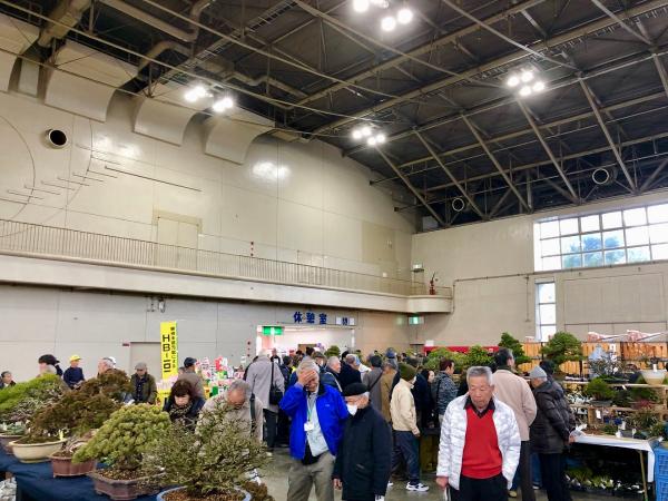 銘風盆栽展