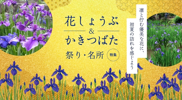 花しょうぶ祭り・名所特集
