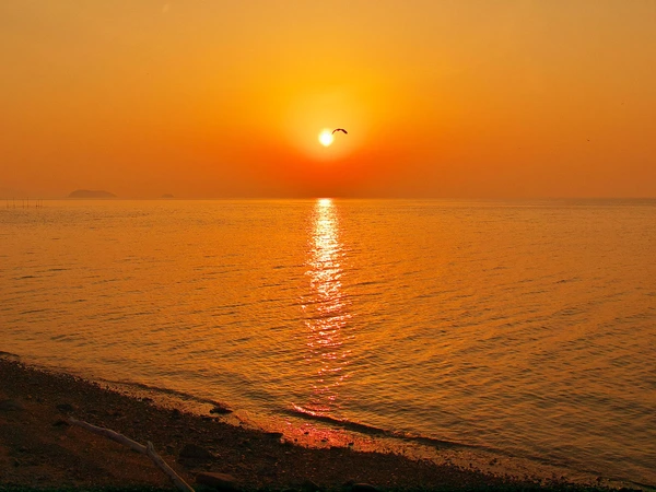 西浦温泉パームビーチ