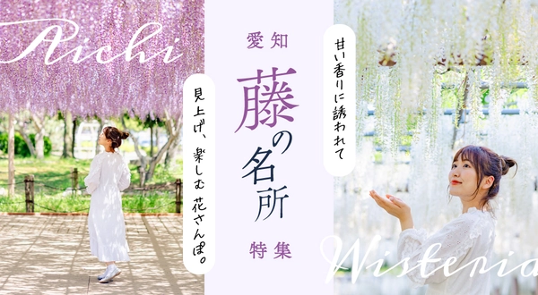 GWに出かけたい！ 愛知 藤の名所特集