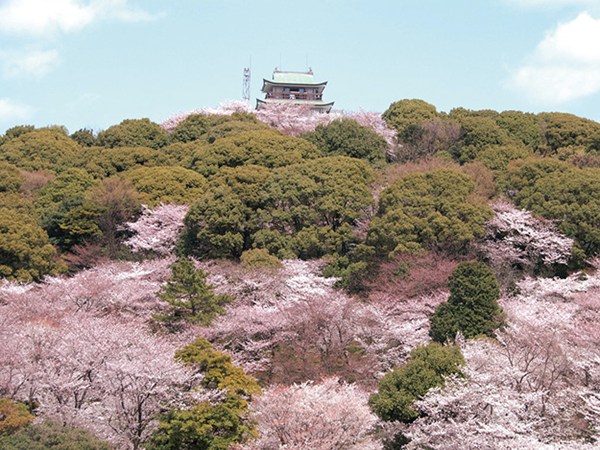고마키 성