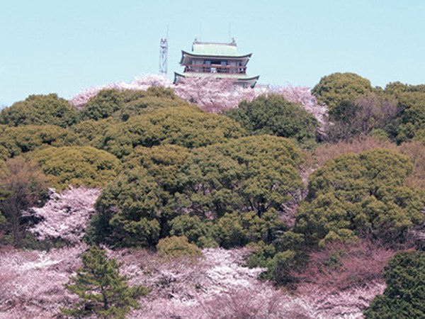 고마키 성