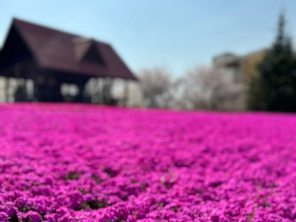 ミササガパーク（猿渡公園）ミササガ市からの寄贈