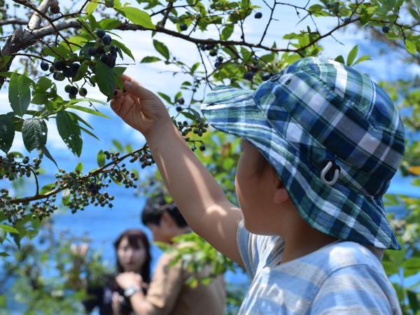 綠色舞台花之木農園