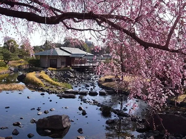 Shirotori Garden