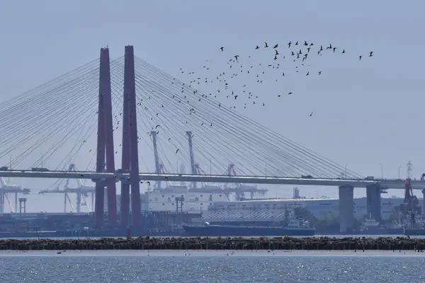 名古屋市野鳥観察館