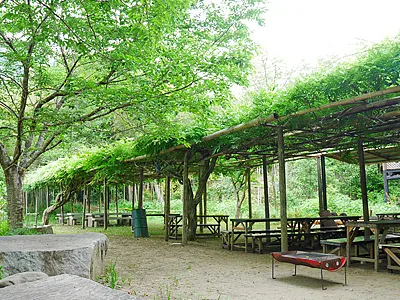 鮎のつかみどり 男川やな