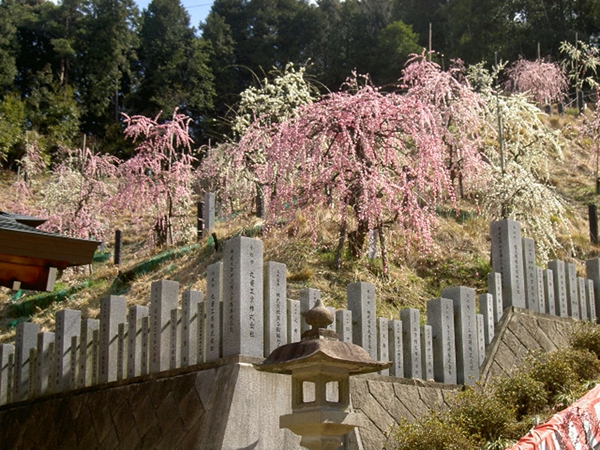 大縣神社(おおあがたじんじゃ）