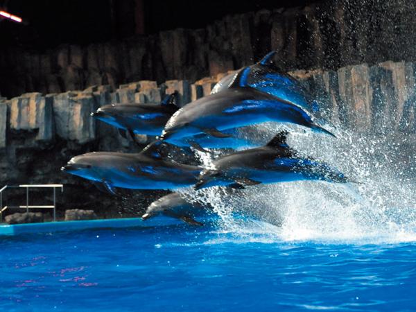 名古屋港水族馆
