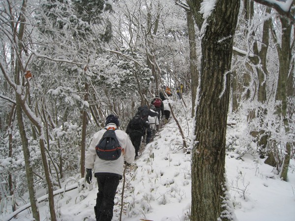 夏燒城山元旦登山