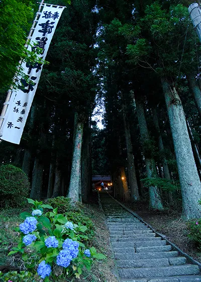 奥三河の秘境へ行く注目バスツアー