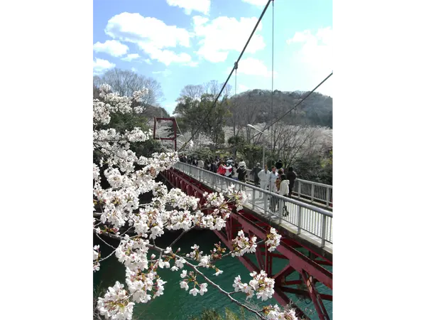 新城さくらまつり