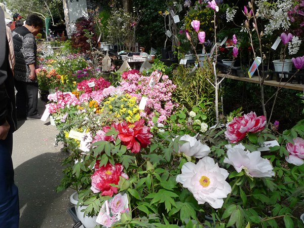 禦衣祭
