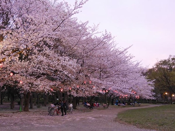 名城公園