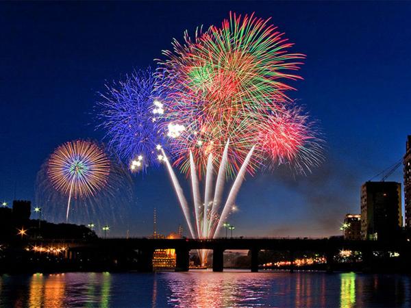 岡崎城下家康公夏まつり