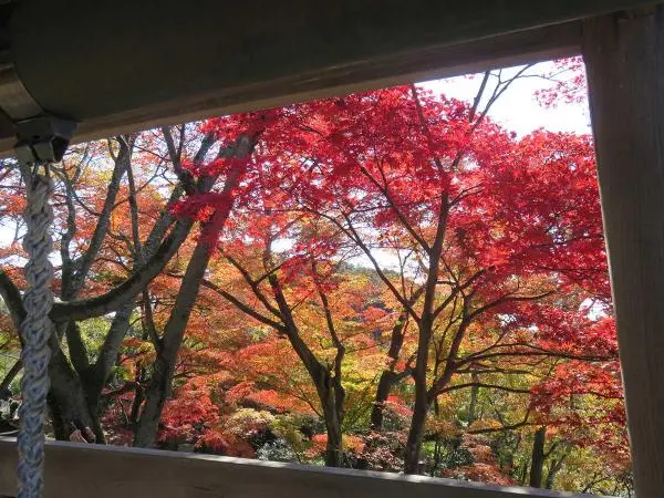 寂光院　紅葉節